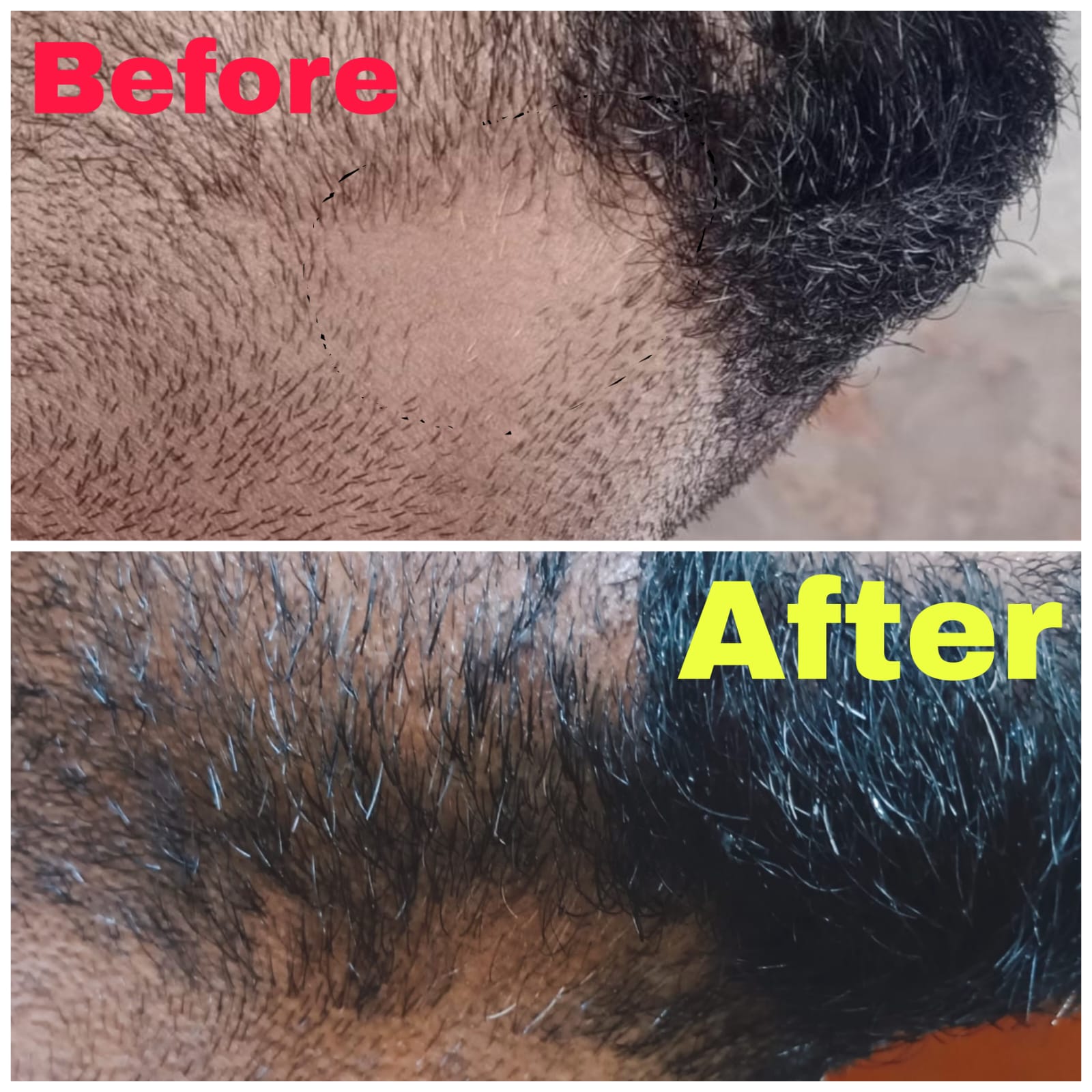 WhatsApp Image 2025-03-02 at 15.57.01_65c2ce2c